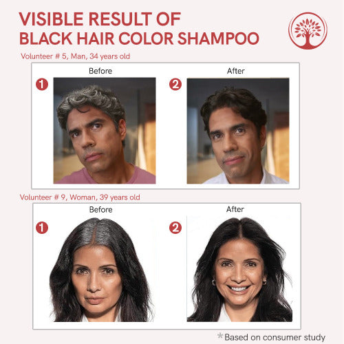 Ivory Natural Black Hair Color Shampoo Transformation