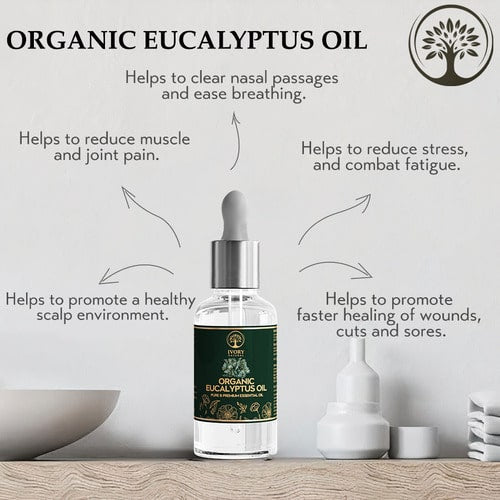 benefits of eucalyptus use
