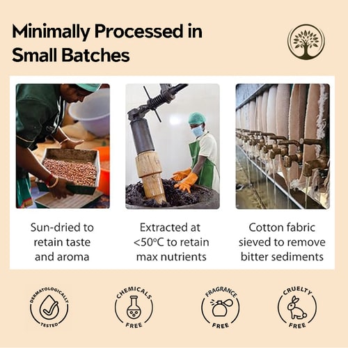 process of making organic cold pressed apricot oil