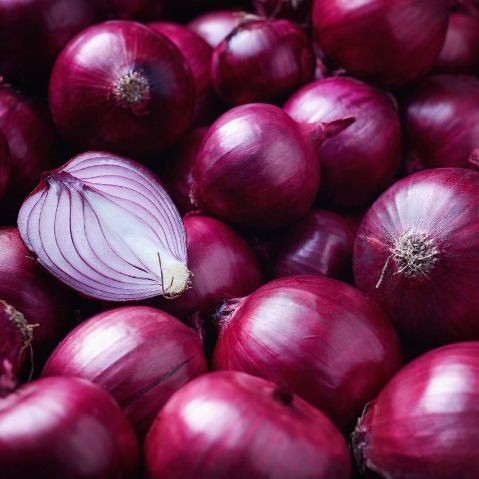 Onion