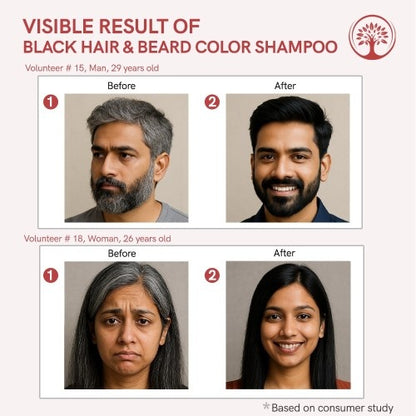 Ivory Natural Black Hair and Beard Color Shampoo Combo Before and After