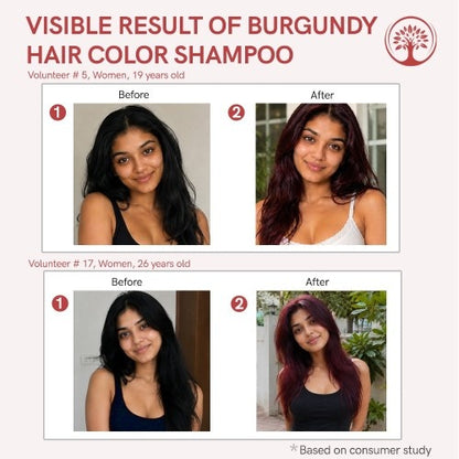 Ivory Natural Burgundy Hair Color Shampoo Before and After