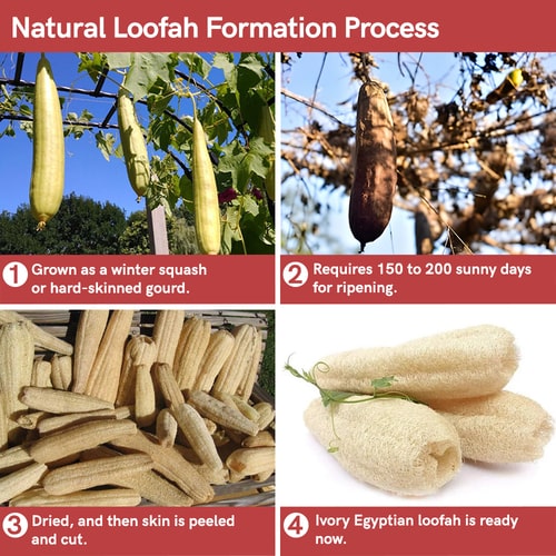 how we made Natural Egyptian Loofah Body Scrubber