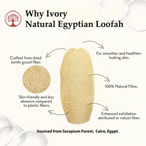 why chose Ivory Natural Natural Egyptian Loofah Body Scrubber