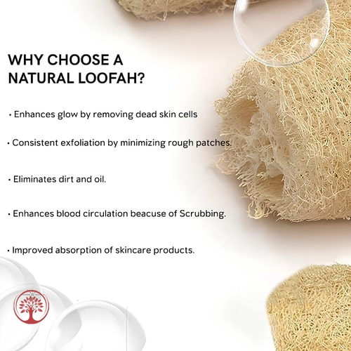 Ivory Natural Natural Egyptian Loofah Body Scrubber  benefits 