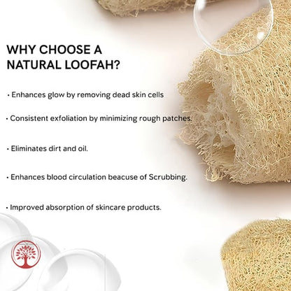 Ivory Natural Natural Egyptian Loofah Body Scrubber  benefits 